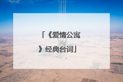《爱情公寓》经典台词