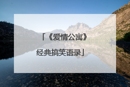 《爱情公寓》经典搞笑语录