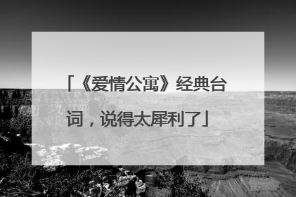 《爱情公寓》经典台词,说得太犀利了