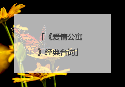 《爱情公寓》经典台词