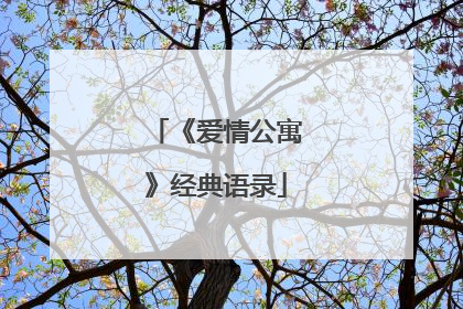《爱情公寓》经典语录