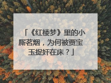 《红楼梦》里的小厮茗烟,为何被贾宝玉捉奸在床?