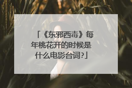 《东邪西毒》每年桃花开的时候是什么电影台词?