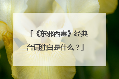 《东邪西毒》经典台词独白是什么?