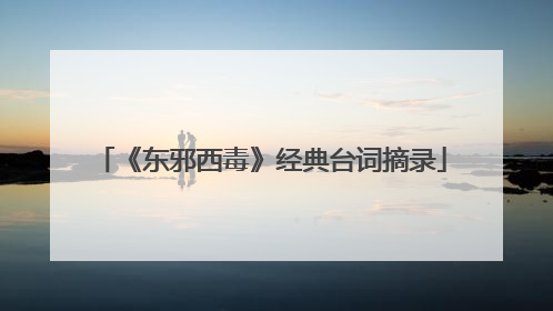 《东邪西毒》经典台词摘录