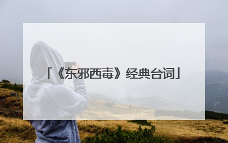 《东邪西毒》经典台词