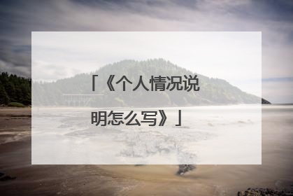 《个人情况说明怎么写》