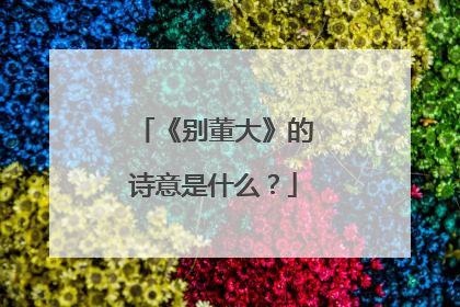 《别董大》的诗意是什么?