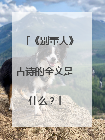 《别董大》古诗的全文是什么?