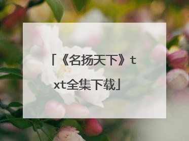 《名扬天下》txt全集下载