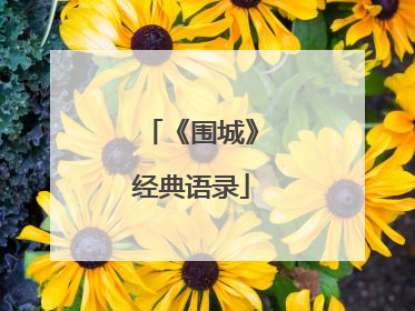 《围城》经典语录