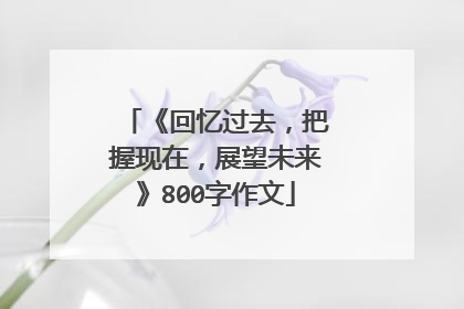 《回忆过去,把握现在,展望未来》800字作文