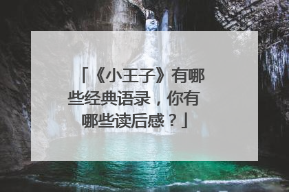 《小王子》有哪些经典语录,你有哪些读后感?
