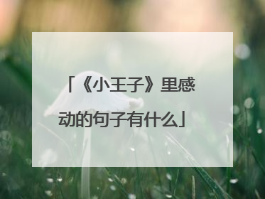 《小王子》里感动的句子有什么
