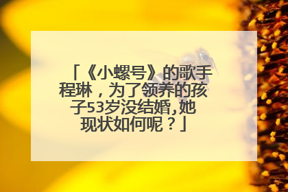 《小螺号》的歌手程琳,为了领养的孩子53岁没结婚,她现状如何呢?