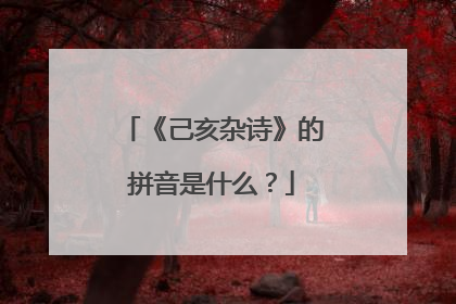 《己亥杂诗》的拼音是什么?