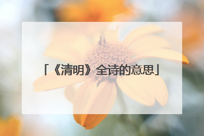 《清明》全诗的意思