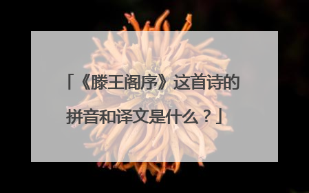 《滕王阁序》这首诗的拼音和译文是什么?
