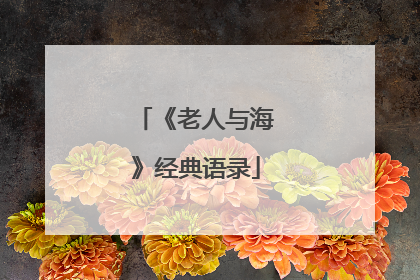 《老人与海》经典语录