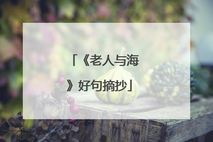 《老人与海》好句摘抄