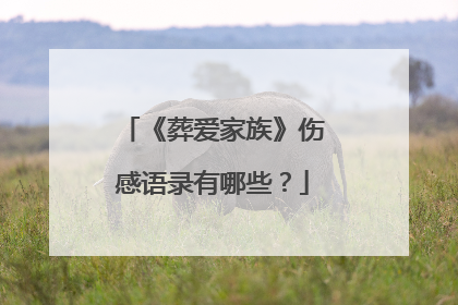 《葬爱家族》伤感语录有哪些?