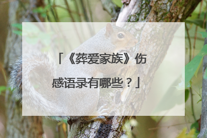 《葬爱家族》伤感语录有哪些?