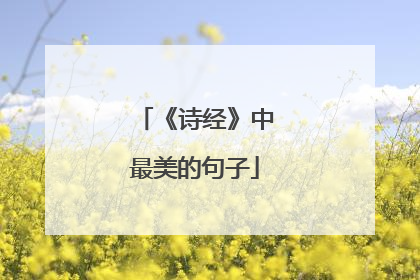 《诗经》中最美的句子