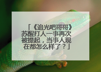 《追光吧哥哥》苏醒打人一事再次被提起，当事人现在都怎么样了？
