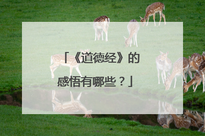 《道德经》的感悟有哪些?