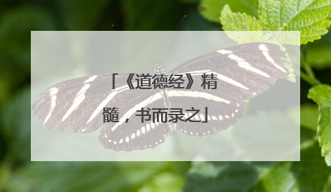 《道德经》精髓,书而录之