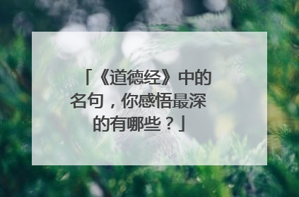 《道德经》中的名句,你感悟最深的有哪些?