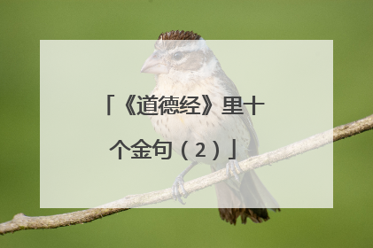 《道德经》里十个金句(2)