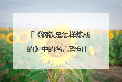 《钢铁是怎样炼成的》中的名言警句