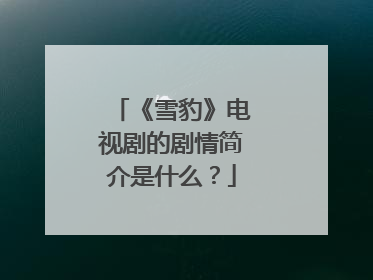 《雪豹》电视剧的剧情简介是什么？