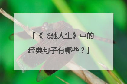 《飞驰人生》中的经典句子有哪些?