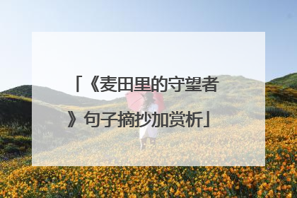 《麦田里的守望者》句子摘抄加赏析