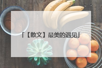 【散文】最美的遇见