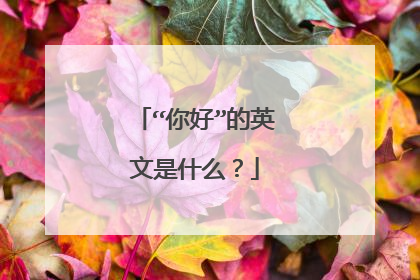 “你好”的英文是什么?