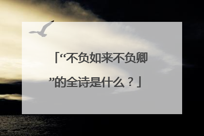 “不负如来不负卿”的全诗是什么?