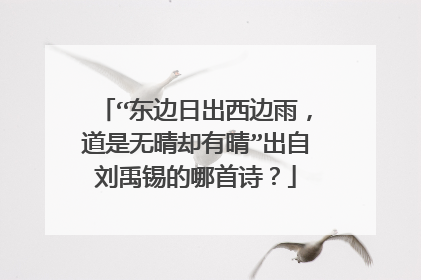 “东边日出西边雨,道是无晴却有晴”出自刘禹锡的哪首诗?