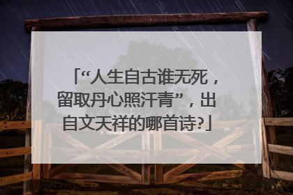 “人生自古谁无死,留取丹心照汗青”,出自文天祥的哪首诗?