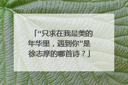 “只求在我最美的年华里,遇到你”是徐志摩的哪首诗?