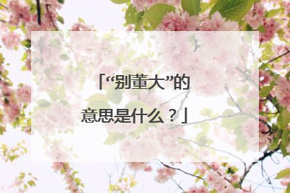 “别董大”的意思是什么?