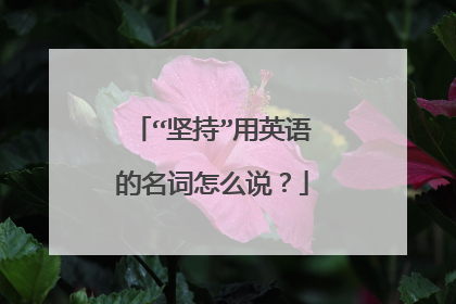 “坚持”用英语的名词怎么说?