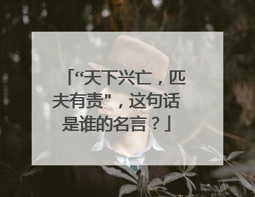 “天下兴亡,匹夫有责