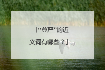 “尊严”的近义词有哪些?
