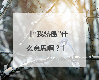 “我骄傲”什么意思啊?