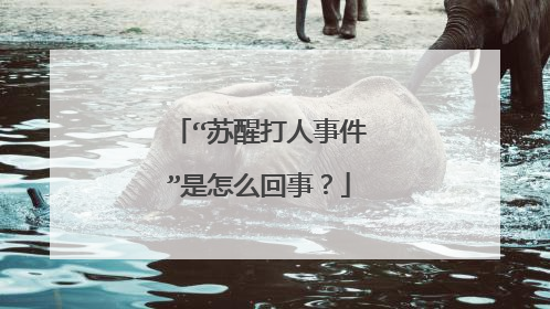 “苏醒打人事件”是怎么回事？