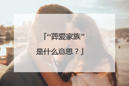 “葬爱家族”是什么意思?