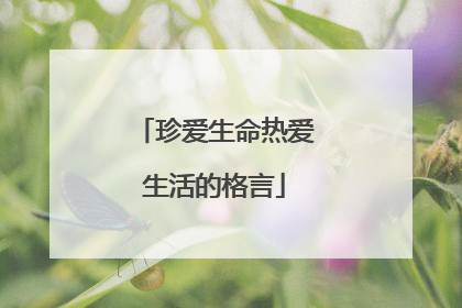 珍爱生命热爱生活的格言